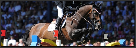 CSI 5* Wellington (USA)