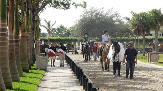 Открытие Зимнего Фестиваля по конному спорту во Флориде