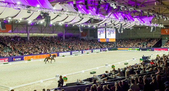 Самая большая выставка жеребцов - KWPN Stallion Show 2018