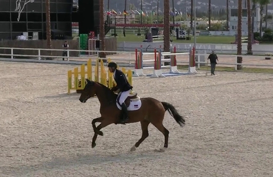 Лошадь Владимира Туганова попала в призы на турнире CSI3* в Шардже