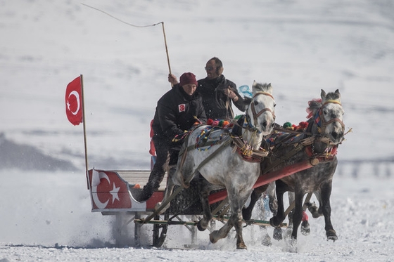 В Турции прошел Фестиваль Золотой Лошади