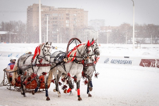 На старт выходят девушки