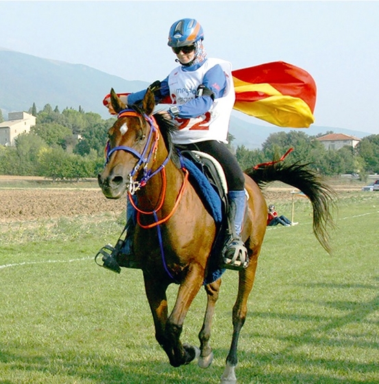 FEI признала лучшей в истории пробегов лошадь российского происхождения 