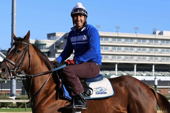 Всадник и лошадь погибли во время тренировки в Churchill Downs