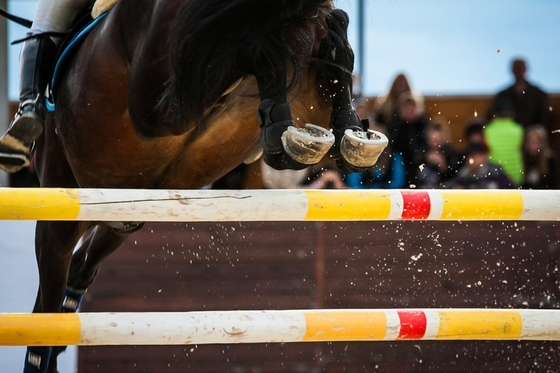 Зимний кубок молодежи по конкуру, КСК "Maxima Stables"