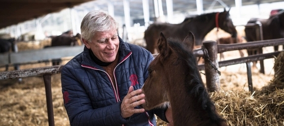 Шокемюлле обещает выплатить по 10 тысяч евро за жеребят с симптомом WFFS, рожденных от его жеребцов