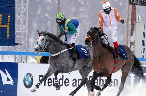 Лошадь российских коневладельцев одержала победу в Санкт-Моритце