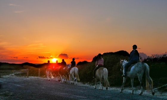 Наслаждайтесь весной в Horse Country Resort Congress & Spa 