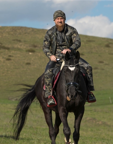 В Чечне планируют масштабный конный поход