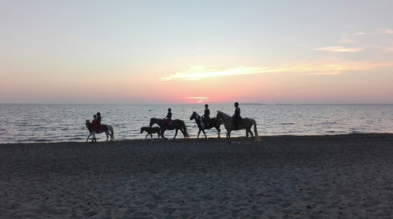 Отправляйтесь в конное путешествие вместе с Horse Country Resort Congress & Spa!
