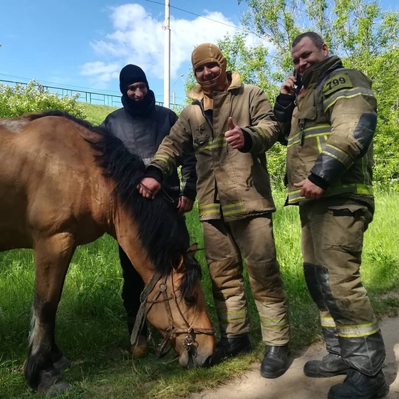 Коня итальянской путешественницы искали с пожарными
