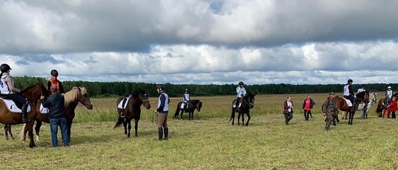 В Архангельской области стартовал уникальный конный пробег