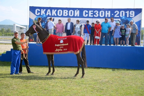 На Пятигорском ипподроме разыграли сразу два Больших Всероссийских приза Дерби