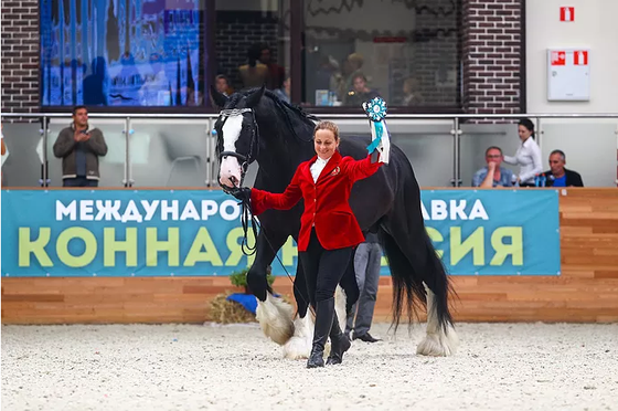 Выставка "Конная Россия" в Maxima Stables