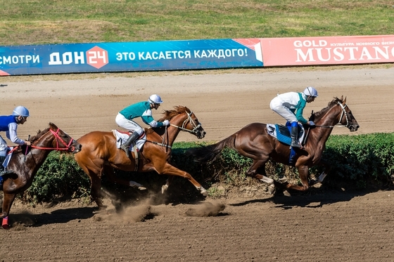 На Ростовском ипподроме разыграли Кубок Н.Н.Насибова