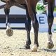  / Фотограф: Maxima Equisport