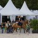 Показательное шоу ахалтекинцев на Всемирных конных играх