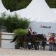 Показательное шоу ахалтекинцев на Всемирных конных играх