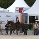Показательное шоу ахалтекинцев на Всемирных конных играх