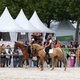 Показательное шоу ахалтекинцев на Всемирных конных играх
