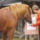  / Фотограф: Дарья ЧУЖАЯ