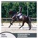  Мастер спорта ЕЛИЗАВЕТА ОРЕХОВА и НАРДО