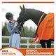 Кандидат в мастера спорта ЮЛИСА КРАСИЛЬНИКОВА и ДАНТЕ ВЕЛЬТИНО