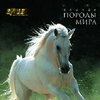 Набор открыток