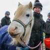 В Англии 45-летие пони отметили вечеринкой