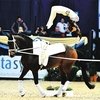 Три метра над уровнем неба, или вольтижировка от «А» до «Я»