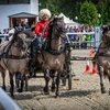 Вятский дебют в чемпионате «Крылатое сердце России»