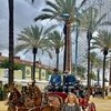 Познакомьтесь с душой Андалусии: Feria del Caballo 2026 в Херес-де-ла-Фронтера