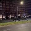 В Риме во время репетиции парада табун лошадей вырвался на городские улицы из-за взрывов пиротехники