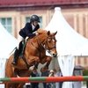 Всероссийские соревнования по конкуру в Челябинске