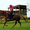 Альберт Кармов получил элитный статус FEI по итогам международного турнира в Эстонии