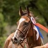 Джамила Маф установила новый всероссийский рекорд