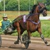 Приз «Барса» и главные орловские призы разыграют в Раменском 24 октября