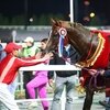 На Грозненском ипподроме разыграют Приз Президента России