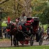 Нью-Йорк одобрил запрет конных экипажей