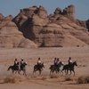  FEI отстранила всадника и тренера после гибели лошади на пробегах
