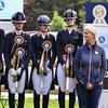 Нидерланды меняют сразу четырех тренеров