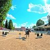 Праздник спорта в Троицын день