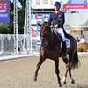 Карл Хестер испытывает лошадь музыкой
