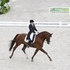 Всемирные конные игры. День 1: Татьяна Дорофеева 62,043%