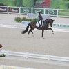 Всемирные конные игры. День 2. Инесса Меркулова 71,057%