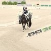 Всемирные конные игры. День 3. Переездка Большого приза