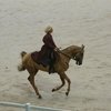 Всемирные конные игры. День 7. Красота ахалтекинцев
