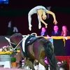 Финал Кубка мира по вольтижировке: пролетая над манежем Граца!