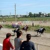 Новая жизнь благовещенского ипподрома