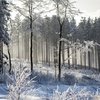 Продажа конноспортивного комплекса в Московской области. 